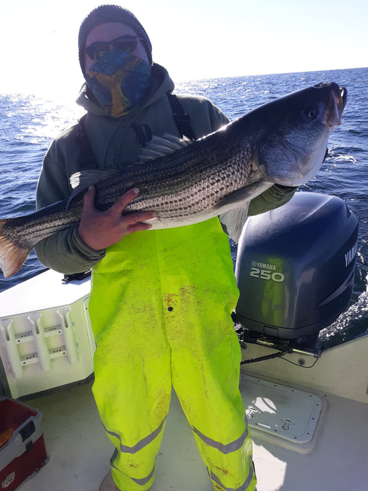 Striper 2024