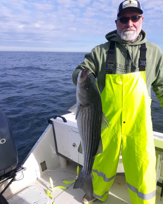 Striped Bass