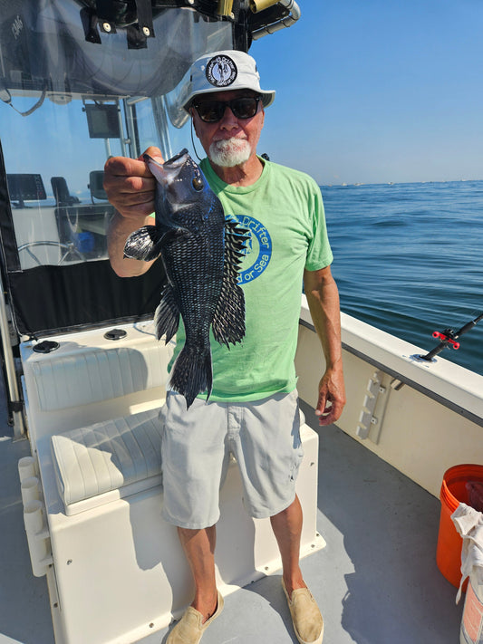 Black sea bass